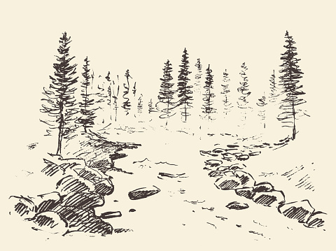 Hand drawn landscape river forest vintage vector.