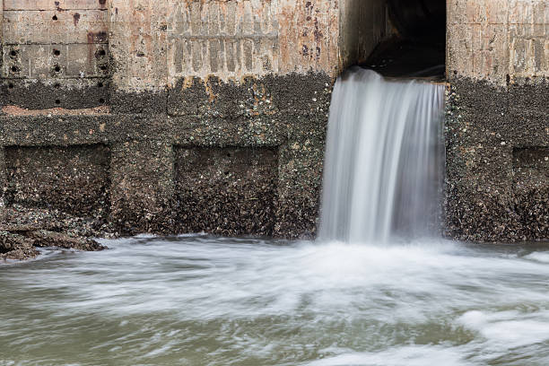istock Water flowing from drain to river 599967188