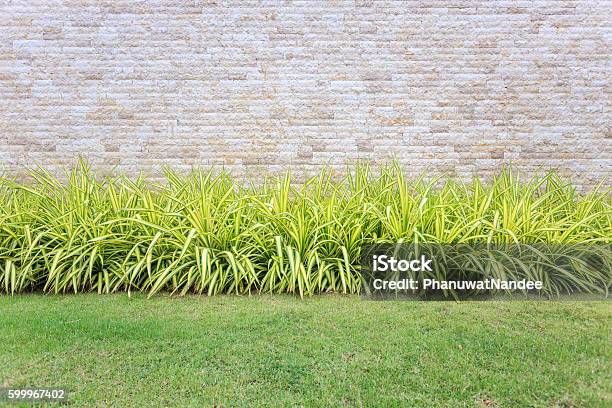 Landscape Of Garden Decoration Stock Photo - Download Image Now - Decoration, Gardening, Grass