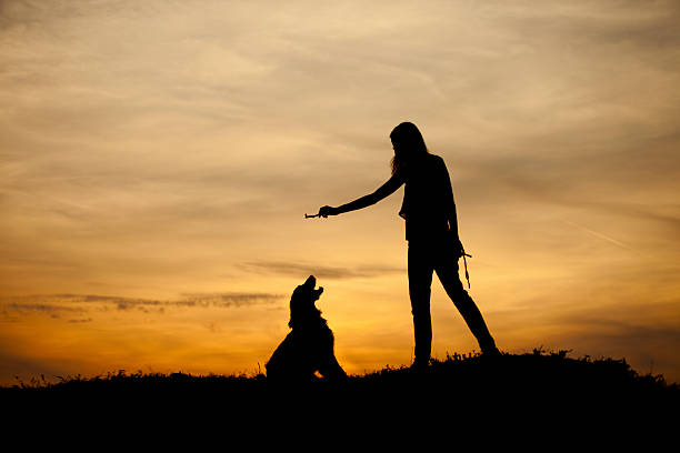 Silueta de niña y su perro con hermoso fondo de puesta de sol. - foto de stock