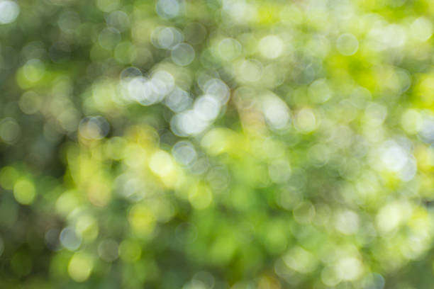 istock Sunny abstract green nature background 599967866