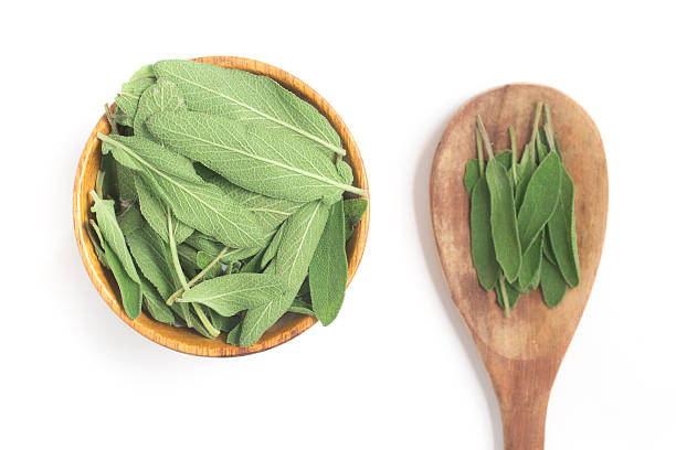 istock Salvia. Commo Garden sage 599969790