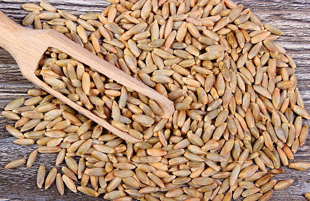 istock Rye grain with spoon on wooden background 599970714