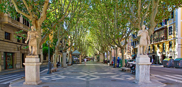 istock Passeig des Born, Palma de Mallorca 599973614
