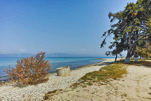 istock Beach of Ormos Prinou, Thassos island, Greece 599976490