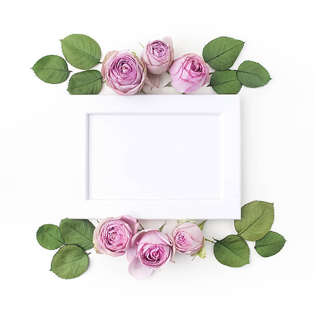 istock Purple roses on white background. Flat lay. Frame wreath 599978798