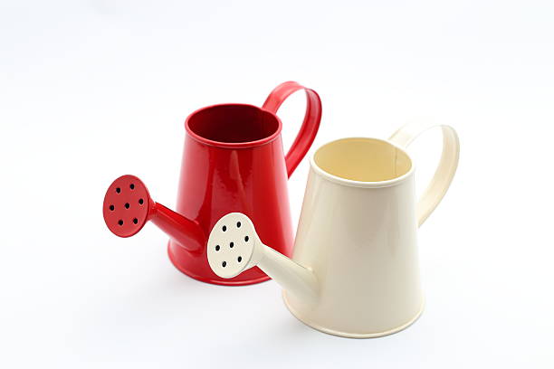 istock Red and Cream watering can 599982942
