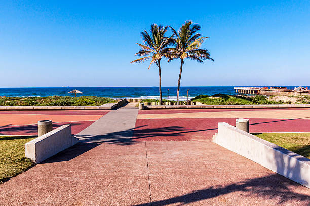 istock Two Palm Trees and Paving Leading into Durban Beach 599989746