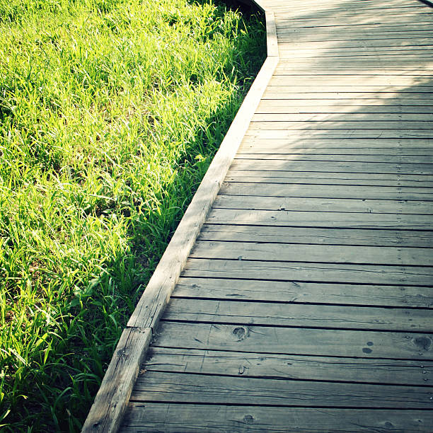 istock Wooden path in a spring park. Aged photo. 599991988