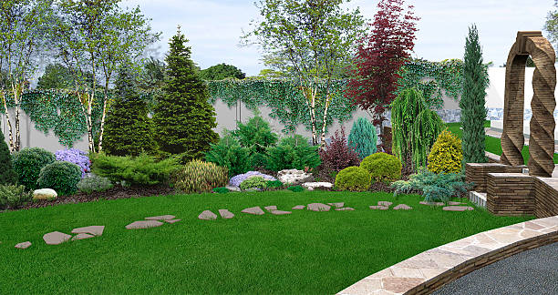 beautiful backyard makeovers, 3d illustration - landscape design landscaped plan imagens e fotografias de stock