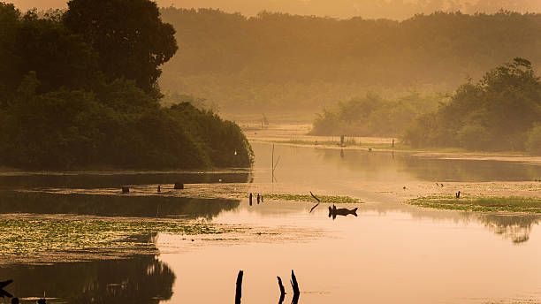 istock Lake in sunset time, Thailand 599993730