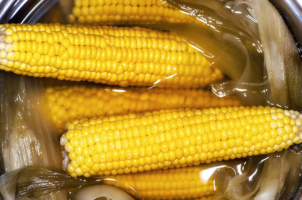 Cobs of Cooked Corn stock photo