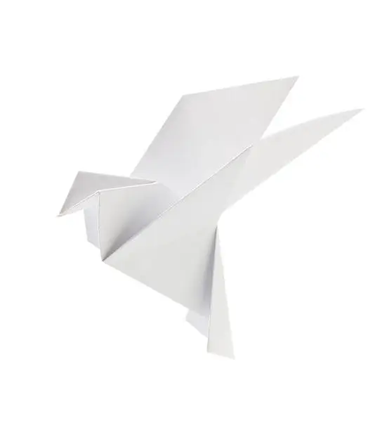 Photo of White pigeon of origami