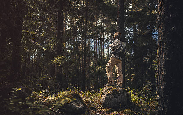 istock Traveler walking alone in the forest at sunset 600060822