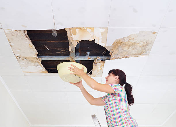 istock Young Woman Collecting Water In basin From Ceiling. Ceiling pane 600061382