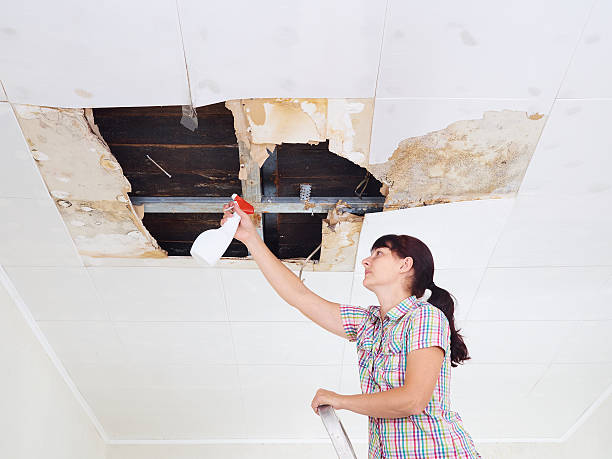 istock Young Woman cleaning mold on ceiling.Ceiling panels damaged huge 600061468