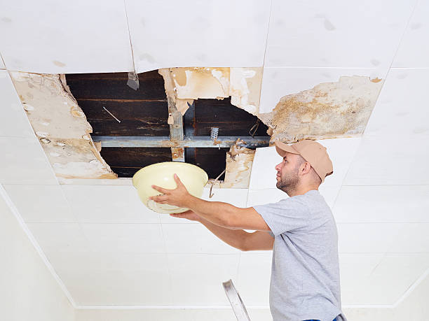 istock Man Collecting Water In basin From Ceiling. Ceiling panels damag 600061614