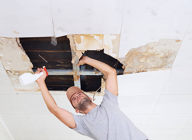 man cleaning mold on ceiling.ceiling panels damaged huge hole in - mold imagens e fotografias de stock