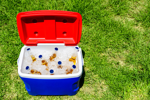 Picnic cooler box with bottles of beer in ice on grass during Australia Day celebration