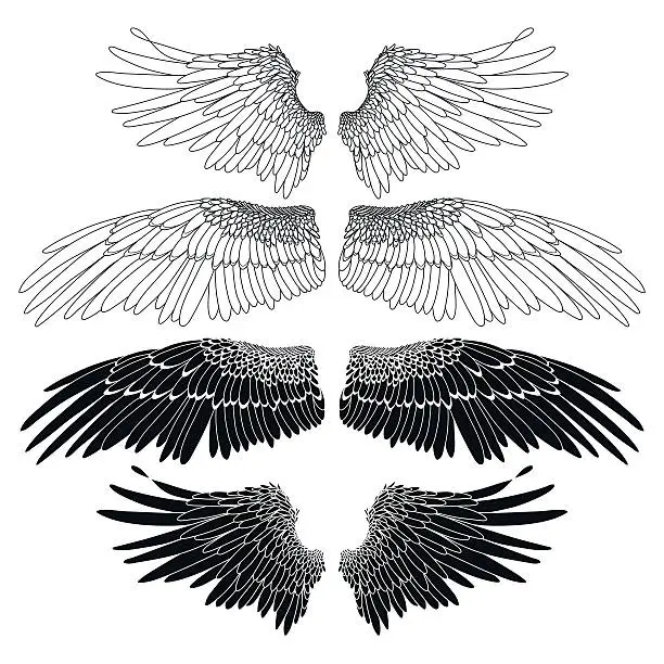 Vector illustration of Graphic wings collection