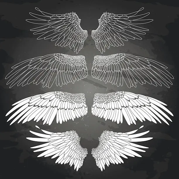 Vector illustration of Graphic wings collection