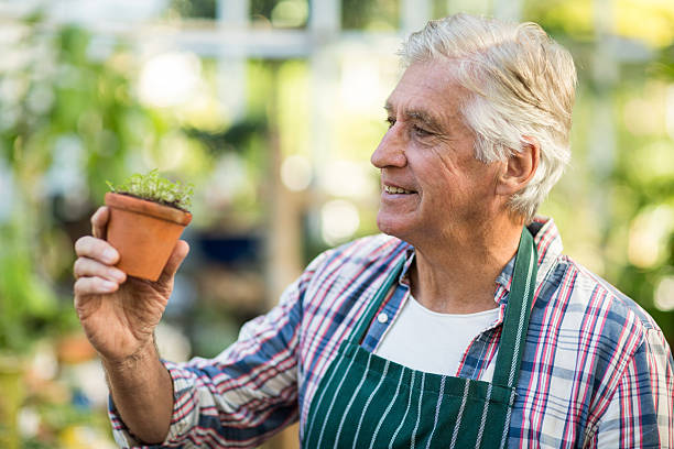 istock Happy male gardener examining sapling 600068932