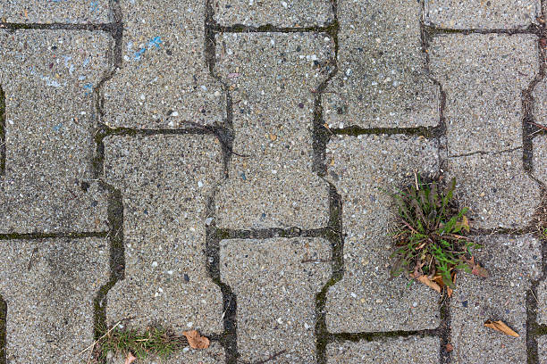 istock Sidewalk Tile Concrete Stone Rough Grey Texture Weed Outdoors 600069986
