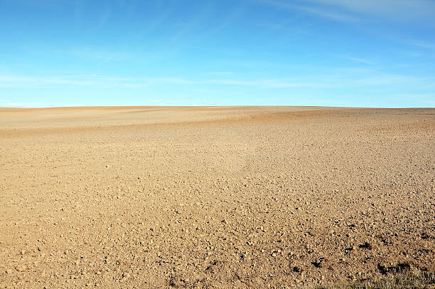 istock Field of plowed ground. 600072902