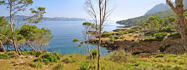 istock Victoria peninsula - north coast of Majorca 600073506