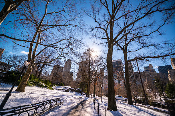 istock Central park under snow, New York, USA 600082436