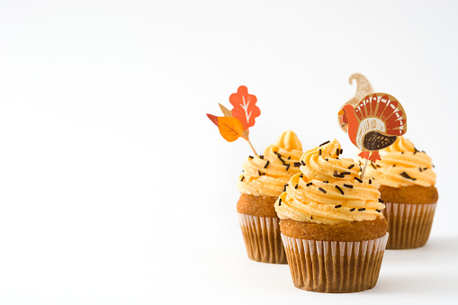Thanksgiving cupcakes isolated on white background