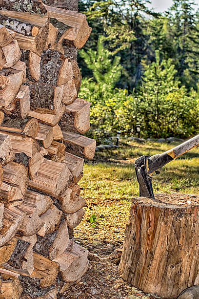 empilhados e picados - wood grain flash - fotografias e filmes do acervo