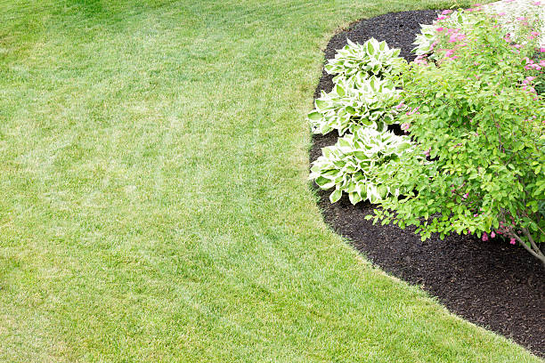 istock Mulched flowerbed in a neatly manicured green lawn 600084740