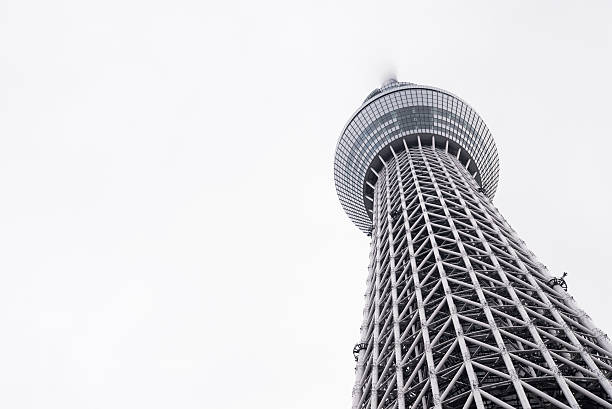 istock Tokyo Skytree in evening fog 600085200