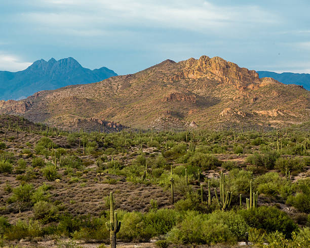 istock Twin mountains desert scene cactus trees sunset blue sky saguaro 600085210