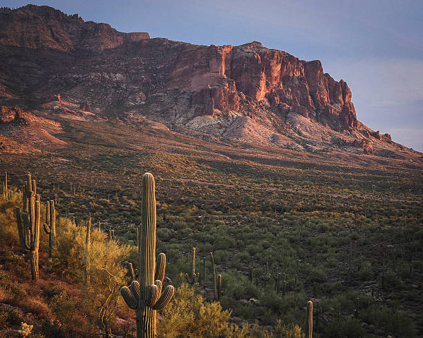 istock Superstition Mountains Red Rocks Green Desert Saguaro Cactus Trails Sunset 600085408