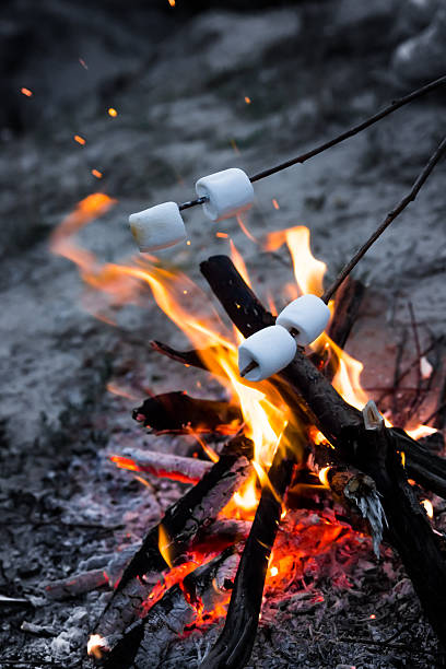 istock Marshmallows roast on bonfire in the evening. 600085416