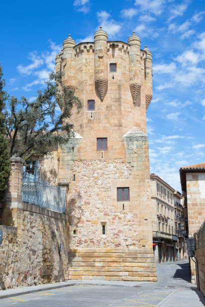 istock Salamanca - The Clavero Tower 600085694