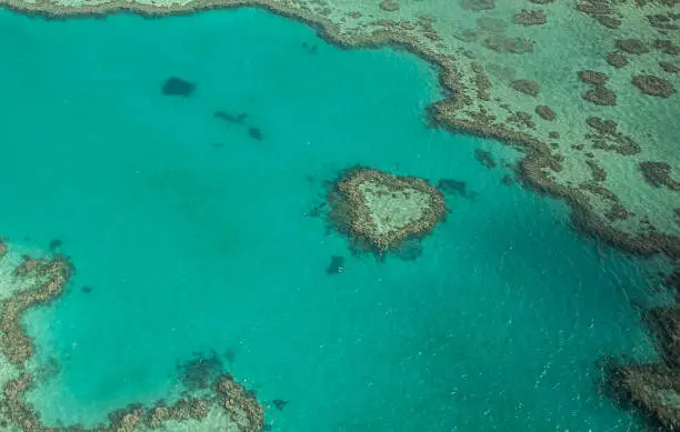 Aerial view of the Heart reef in the Whitsundays Islands.