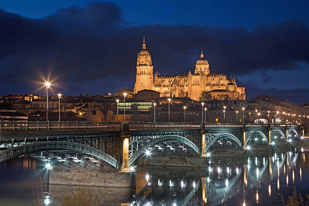 istock Salamanca - The Cathedral and bridge 600087386
