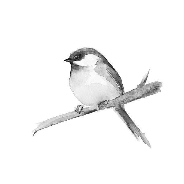 istock Small bird on branch. Black and white watercolor painting. 600090308