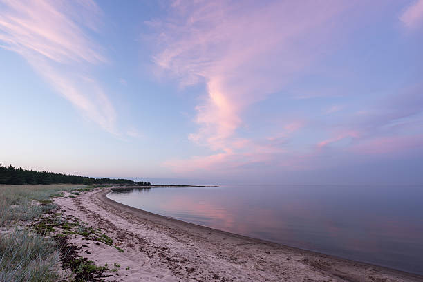 istock Evening sunlight on coast. Pink clouds, blue sky, seaside forest 600090936