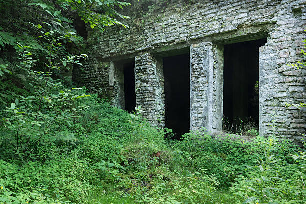istock Limestone stone ruins.  House, bushes and high grass 600091158