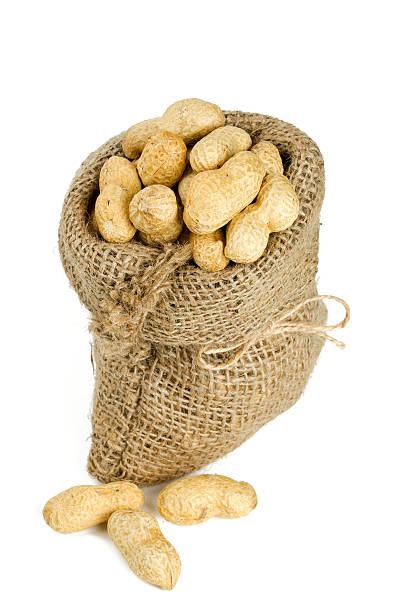 istock peanuts in a miniature burlap bag isolated on white 600092066