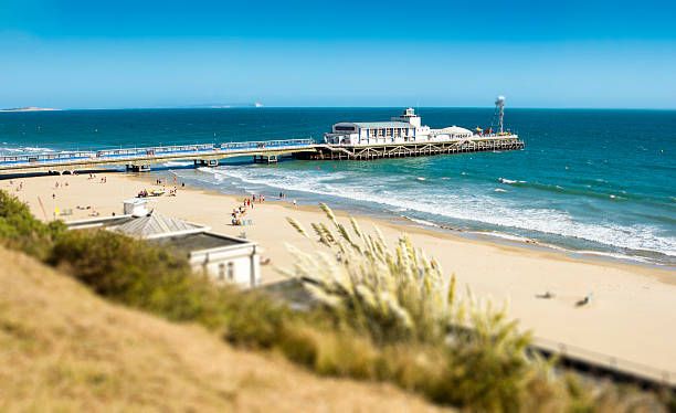 Bournemouth Beach & Pier Pampass Grass Tilt shifted view of the West Cliff with Pampass Grass showing Bournemouth bay with the beach, pier and general coast of this popular tourist destination. Logos and people removed, remaining people too small to be recognisable/faces in a crowd. dorset england photos stock pictures, royalty-free photos & images