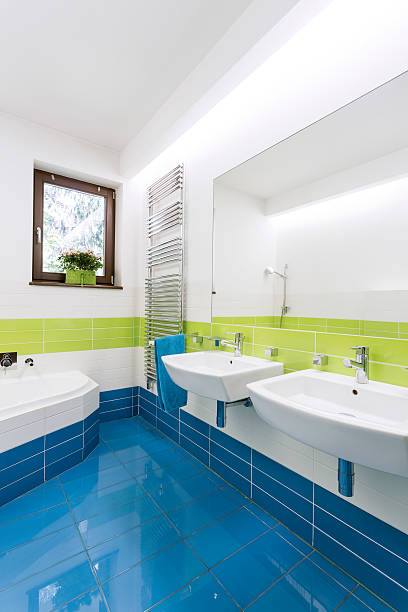 istock Bringing the natural light into the bathroom 600101072