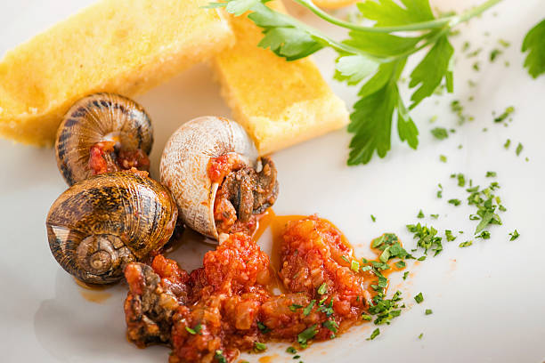 トマトソースのカタツムリ - gourmet snail food escargot ストックフォトと画像