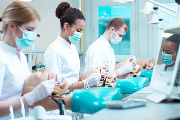 Busy medicine students on classes Busy young dentistry students on classes practicing on phantoms dental equipment stock pictures, royalty-free photos & images