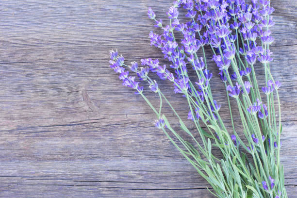 istock Lavender on Wood Background 600102958