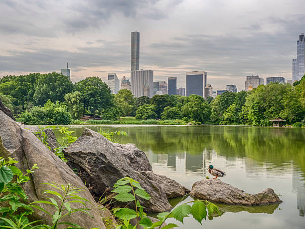 istock Lower Manhattan in New York City 600132004